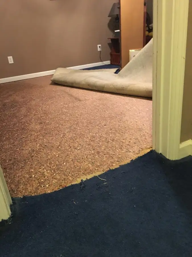 Carpet pad removal revealing water damage during Drying & Dehumidification in South Gate Ridge