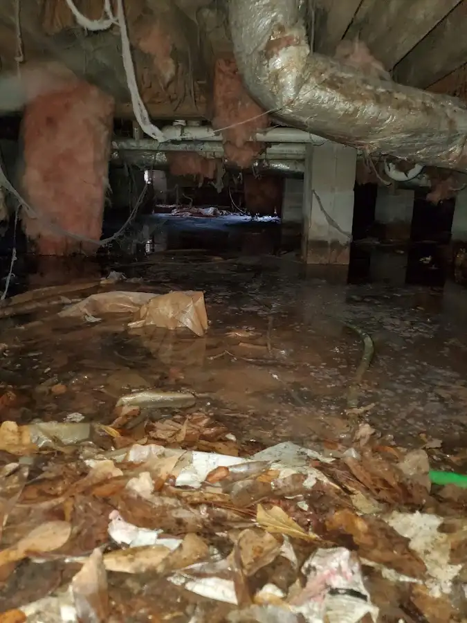 Crawl space flood assessment for Leak Detection & Repair in South Gate Ridge